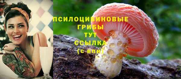 гидра Арсеньев