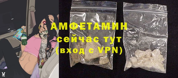 гидра Арсеньев