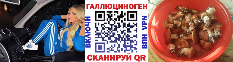 Купить закладки  Тогучин  Псилоцибиновые грибы ЛСД 